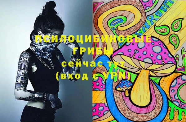 ECSTASY Надым