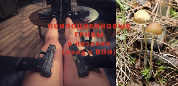 гашик Наволоки