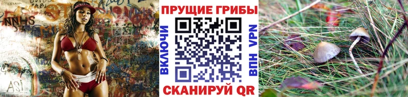 Галлюциногенные грибы Psilocybine cubensis  цены   blacksprut   Абакан 