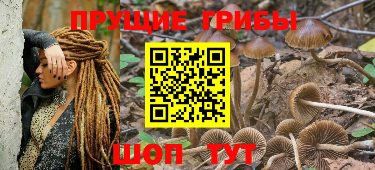 Галлюциногенные грибы MAGIC MUSHROOMS  Вход с VPN  Абакан 