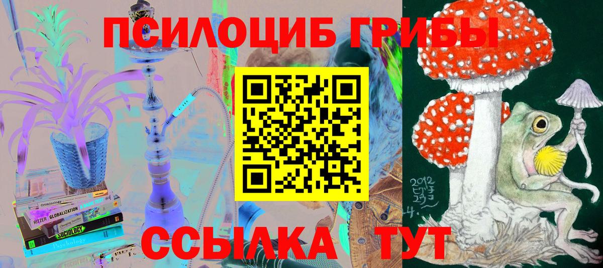 Галлюциногенные грибы Psilocybine cubensis  Абакан 