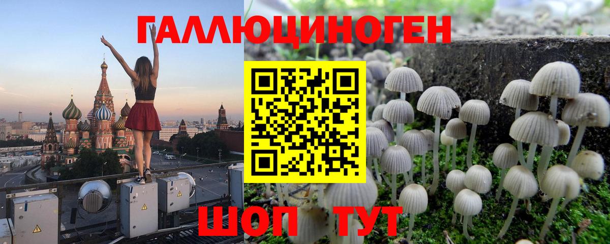 Псилоцибиновые грибы мицелий Абакан
